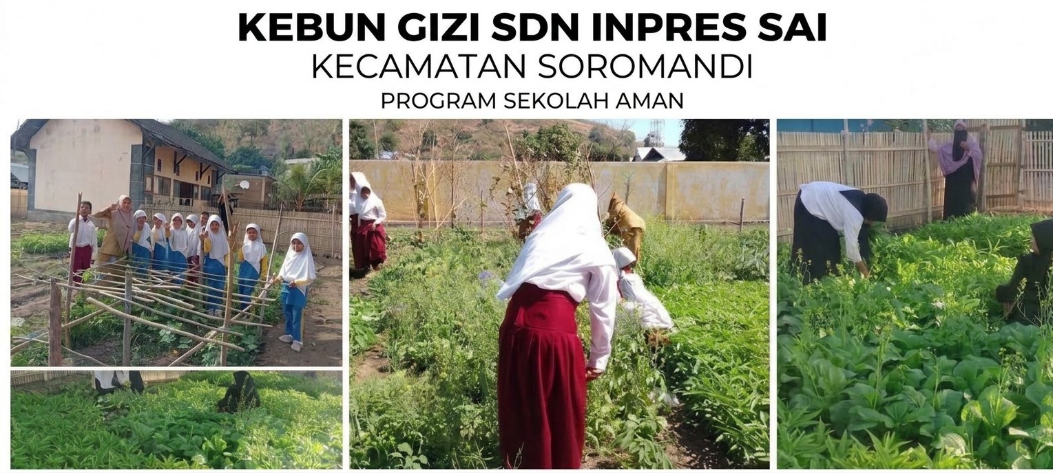 Aktivitas siswa di Kebun Gizi SDN Inpres Sai Kecamatan Soromandi Kabupaten Bima. Kolase Berita11.com.