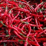 Cabai Merah Termasuk Kelompok Volatile Food yang Sering Menyumbang Inflasi di NTB. Foto US/ Berita11.com.