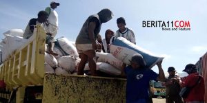 Aktivitas buruh Pelabuhan Bima Provinsi NTB yang rela kerja keras siang-malam walaupun hanya diberi upah Rp40 ribu per hari. Foto US/ Berita11.com.
