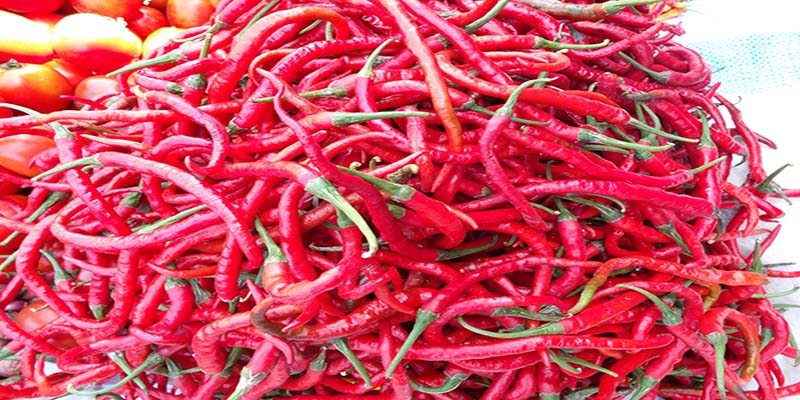 Komoditi cabai keriting yang dijual pedagang di Pasar Tradisional di Bima. Salah satu komoditas yang menjadi kelompok volatile food yang sering menyumbang inflasi. Foto US/ Berita11.com.