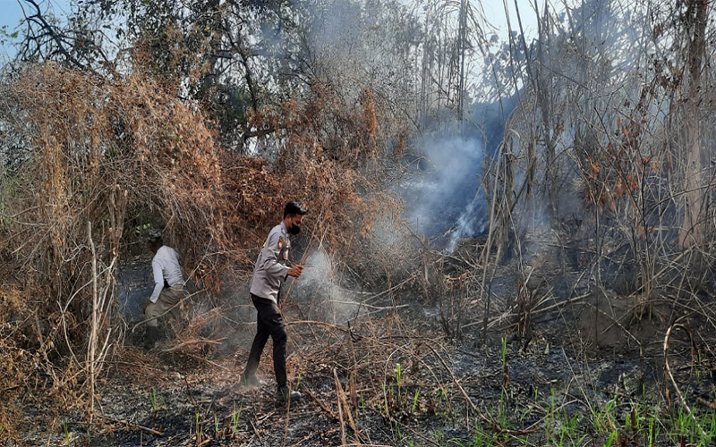 Aparat kepolisian berupaya memadamkan api di lahan tebu di Desa Sorinomo Kecamatan Pekat Kabupaten Dompu, Nusa Tenggara Barat, Sabtu (26/8/2023).