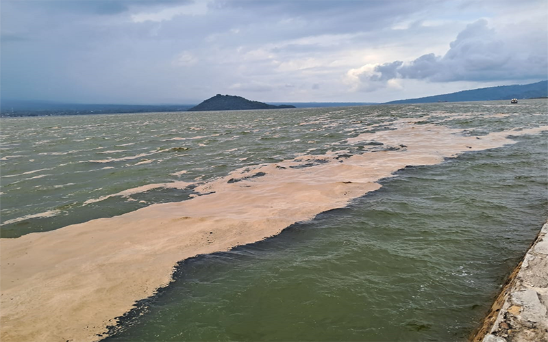 Fenomena “Ingus” atau buih di Teluk Bima terpantau semakin banyak pada Selasa (13/2/2024).