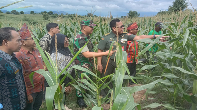 Ilustrasi. Tim Teritorial Mabes TNI Kolonel Inf. Jayasusman SAP., MSI., CHRMP saat melihat langsung tanaman jagung yang dikembangkan kelompok petani di So Ndano Leu Kelurahan Ntobo Kecamatan Raba Kota Bima, Nusa Tenggara Barat, Kamis (7/3/2024).