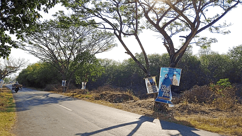 Alat peraga calon kepala daerah dan wakil kepala daerah yang dipaku di pohon masih terpampang di samping ruas jalan provinsi di wilayah Kabupaten Bima, hingga Selasa (24/9/2024). Foto US/ Berita11.com.