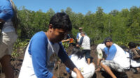 Jurnalis lingkungan dari Jakarta, Bali dan Nusa Tenggara menanam mangrove di Nusa Ceningan Bali.