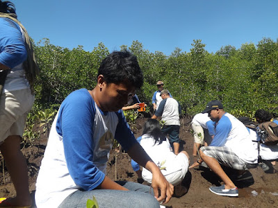 Jurnalis lingkungan dari Jakarta, Bali dan Nusa Tenggara menanam mangrove di Nusa Ceningan Bali.