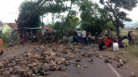 Kondisi jalan negara Lintas Bima Sumbawa di Desa Donggobolo Kecamatan Woha Kabupaten Bima Nusa Tenggara Barat saat aksi blokade oleh kerabat mahasiswa yang dibunuh di Kota Bima.