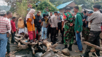 Aparat keamanan beberapa kali berupaya menegosiasi massa sebelum membuka paksa blokade Jalan Lintas Nanga Wera Kecamatan Wera Kabupaten Bima, Kamis (19/6/2025) siang menjelang sore.