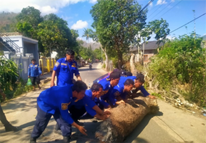 Tim Rescue Damkarmat Kabupaten Bima saat mengevakuasi pohon tumbang yang menutup ruas jalan di Kecamatan Palibelo Kabupaten Bima beberapa hari lalu.