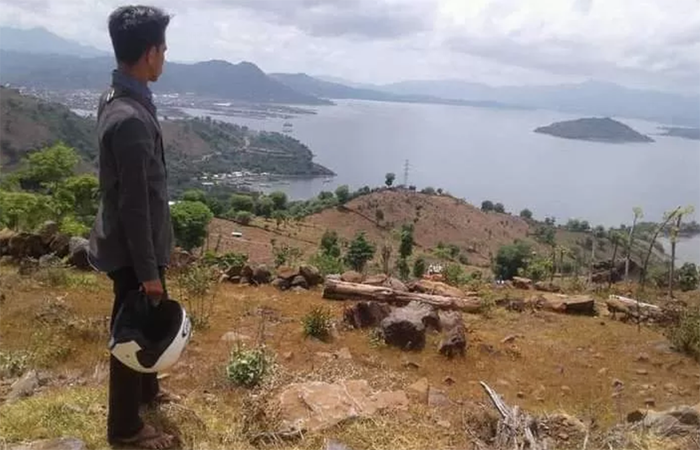 Hutan di Kelurahan Kolo tampak gundul akibat aksi perambahan ilegal beberapa tahun lalu/ Ilustrasi. Foto ist.