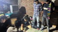 Tim Opsnal Satuan Reserse Narkoba (Satresnarkoba) Polres Dompu saat menggeregek dan menggeledah rumah terduga pengedar sabu-sabu di Lingkungan Bali Bunga Kelurahan Kandai Dua Kecamatan Woja Kabupaten Dompu, Sabtu (2/8/2025).