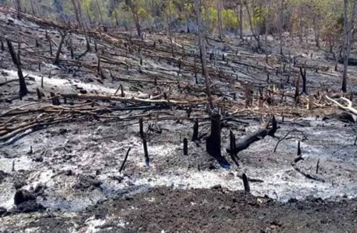 Hutan Rusak