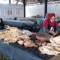 Aktivitas penjual ayam broiler di pasar tradisional Sila Desa Rato Kecamatan Bolo Kabupaten Bima. Foto US/ Berita11.com.