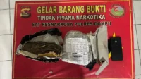 Barang bukti ganja yang berhasil diamankan aparat kepolisian. Barang bukti ganja yang berhasil diamankan aparat kepolisian.