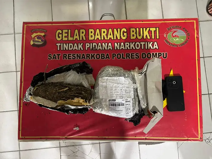 Barang bukti ganja yang berhasil diamankan aparat kepolisian.