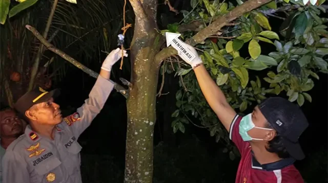 Kapolsek Pekat, IPTU Jubaidin dan anggota saat melaksanakan olah tempat kejadian perkara.