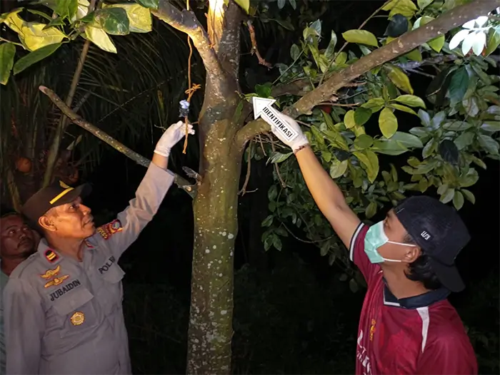 Kapolsek Pekat, IPTU Jubaidin dan anggota saat melaksanakan olah tempat kejadian perkara.