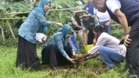 Ketua TP PKK Kabupaten Bima, Murni Suciyanti, bersama Ketua Gabungan Organisasi Wanita (GOW) Kabupaten Bima, Hj Anita Irfan saat penghijauan di SMP Negeri 3 Lambitu di sela program Selasa Menyapa, Kamis (30/4/2026).