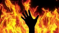 Ilustrasi.