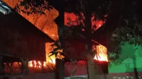 Si jago merah membakar lahan jati dan nyaris merembet ke pemukiman warga di Desa Diha Kecamatan Belo Kabupaten Bima, Sabtu (26/9/2026) malam.