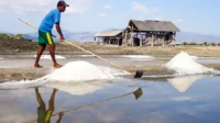 Aktivitas petani tambak garam di Desa Sanolo Kecamatan Bolo Kabupaten Bima memanen garam saat musim kemarau tahun 2026. Foto US/ Berita11.com.